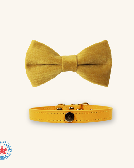 MoriCat Mustard Yellow Bowtie and Collar Set for Cats