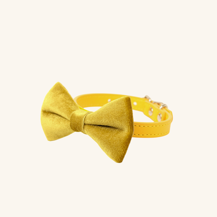 MoriCat Mustard Yellow Bowtie and Collar Set for Cats