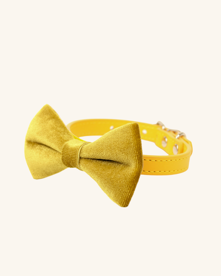 MoriCat Mustard Yellow Bowtie and Collar Set for Cats