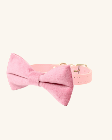 MoriCat Pink Bowtie and Collar Set for Cats