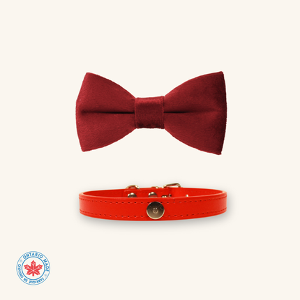 MoriCat Red Bowtie and Collar Set for Cats