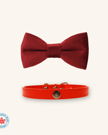 MoriCat Red Bowtie and Collar Set for Cats