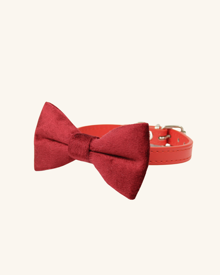 MoriCat Red Bowtie and Collar Set for Cats