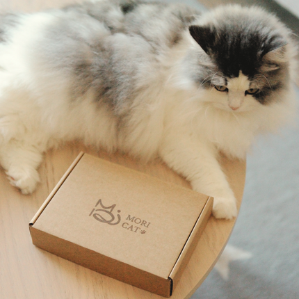 MoriCat Premium Gift Bundle Box with an Aquamarine Halo Jewel