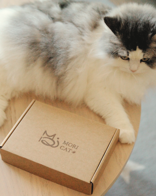 MoriCat Premium Gift Bundle Box with Teardrop Jewel in Citrine on Gold Collar with Golden Bowtie