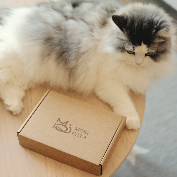 <h2>"The best gift I’ve ever received for my cat. I can style them in 3 seconds."</h2>