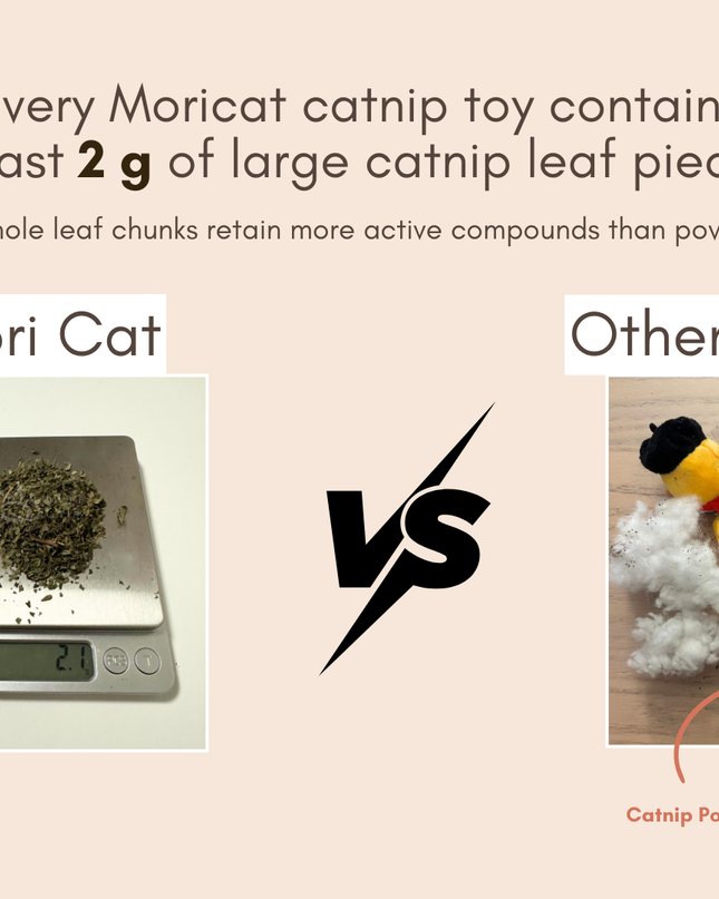 MoriCat Premium Catnip Toy — Large Brown Bear