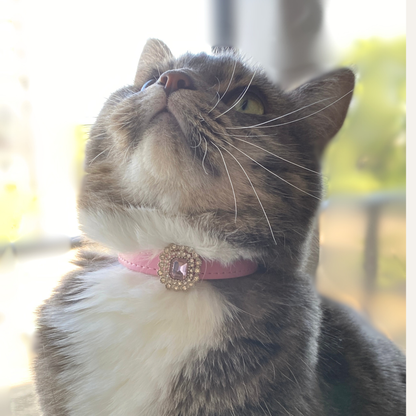 Pink Luxury Cat Collar with Halo Gem Charms