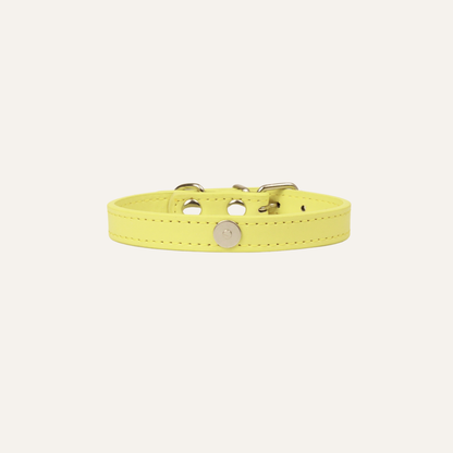 Yellow Luxury Cat Collar with Halo Gem Charms
