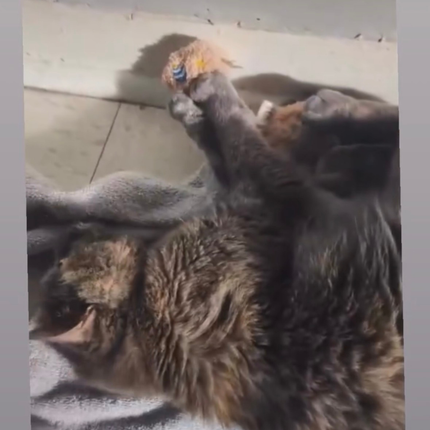 "It was soft, so I carried it like treasure."