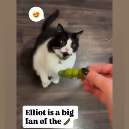 "This little pea is so cute, and now it smells like me"