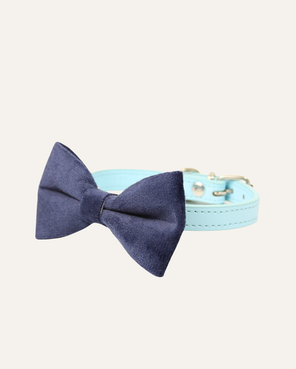 MoriCat Premium Gift Bundle Box with Teardrop Jewel in Sapphire on Blue Collar with Deep Blue Bowtie