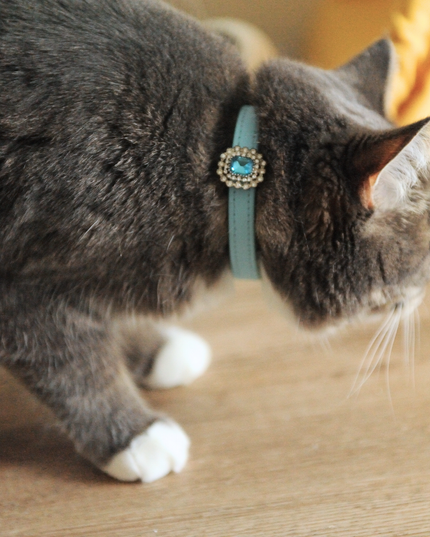 MoriCat Premium Gift Bundle Box with an Aquamarine Halo Jewel