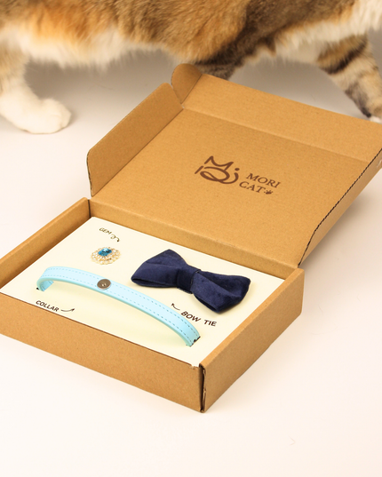 MoriCat Premium Gift Bundle Box with an Aquamarine Halo Jewel