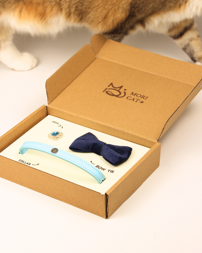 MoriCat Premium Gift Bundle Box with an Aquamarine Halo Jewel