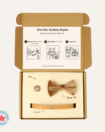 MoriCat Premium Gift Bundle Box with Vintage Bronze Gem in Champagne