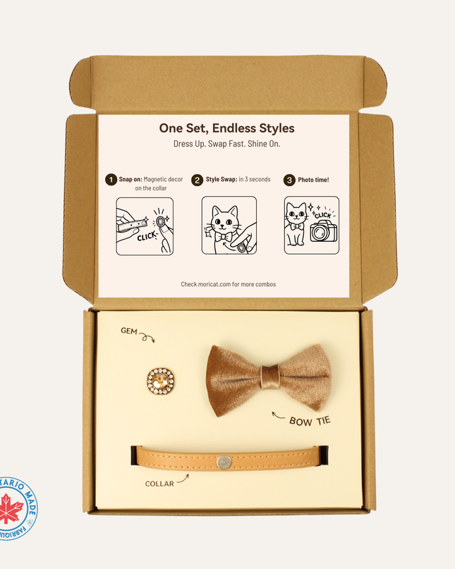 MoriCat Premium Gift Bundle Box with Vintage Bronze Gem in Champagne