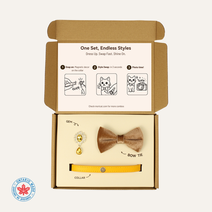 MoriCat Premium Gift Bundle Box with Teardrop Jewel in Citrine on Gold Collar with Golden Bowtie