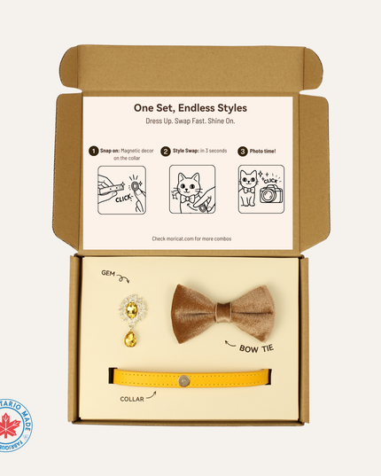 MoriCat Premium Gift Bundle Box with Teardrop Jewel in Citrine on Gold Collar with Golden Bowtie
