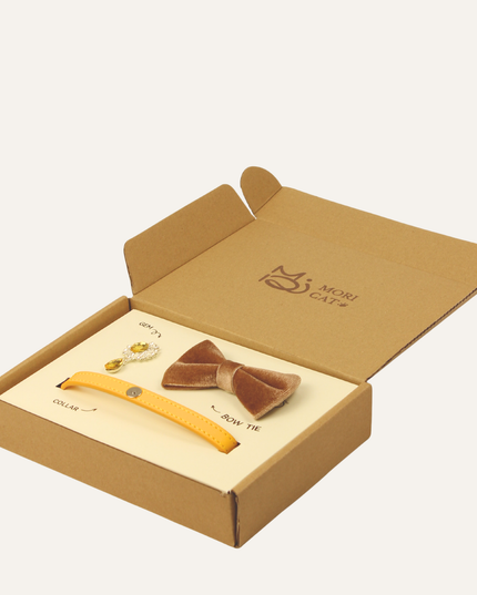 MoriCat Premium Gift Bundle Box with Teardrop Jewel in Citrine on Gold Collar with Golden Bowtie