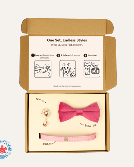 MoriCat Premium Gift Bundle Box with Teardrop Jewel in Rose on Pink Collar with Pink Bowtie