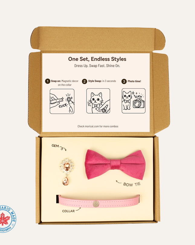 MoriCat Premium Gift Bundle Box with Teardrop Jewel in Rose on Pink Collar with Pink Bowtie