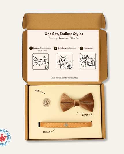 MoriCat Premium Gift Bundle Box with a Diamond Style Halo Jewel