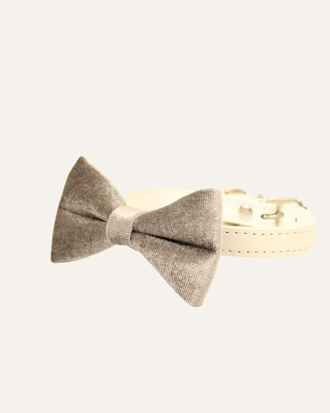 MoriCat Premium Gift Bundle Box with Teardrop Jewel in Crystal on White Collar with Silver Bowtie