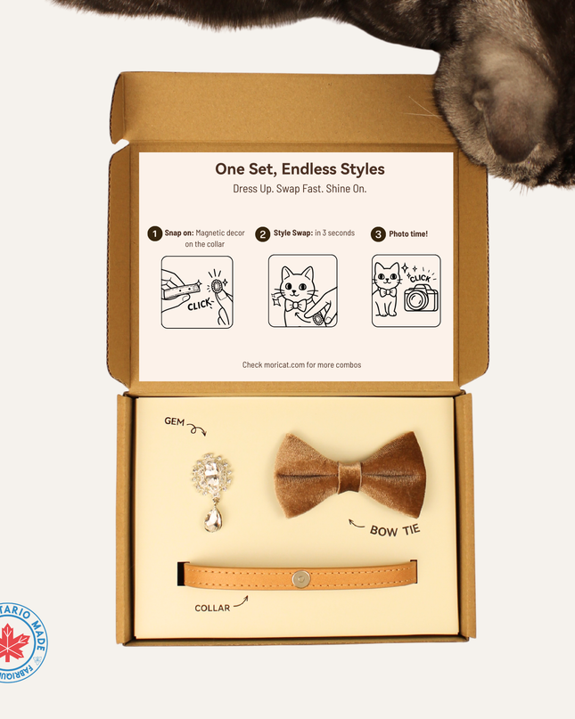 MoriCat Premium Gift Bundle Box with Teardrop Jewel in Crystal on Beige Collar with Golden Bowtie