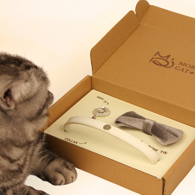 MoriCat Premium Gift Bundle Box with Teardrop Jewel in Crystal on White Collar with Silver Bowtie
