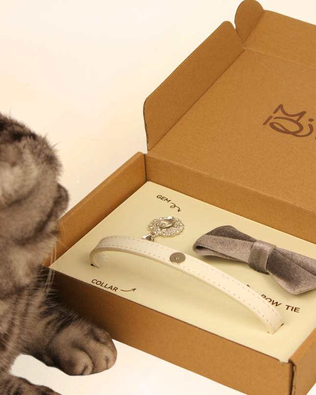 MoriCat Premium Gift Bundle Box with Teardrop Jewel in Crystal on White Collar with Silver Bowtie