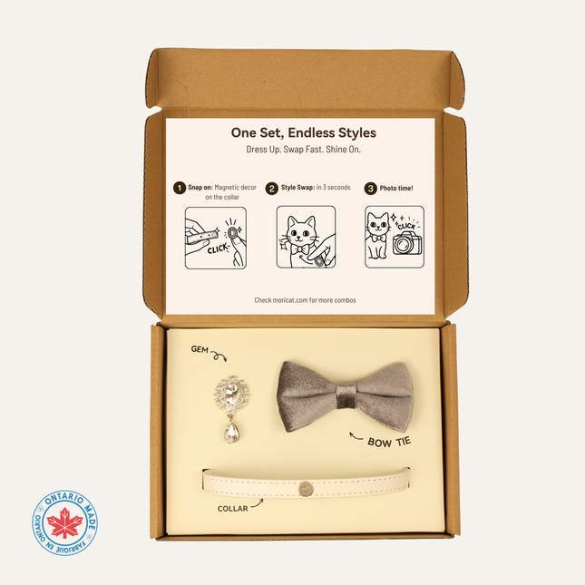 MoriCat Premium Gift Bundle Box with Teardrop Jewel in Crystal on White Collar with Silver Bowtie