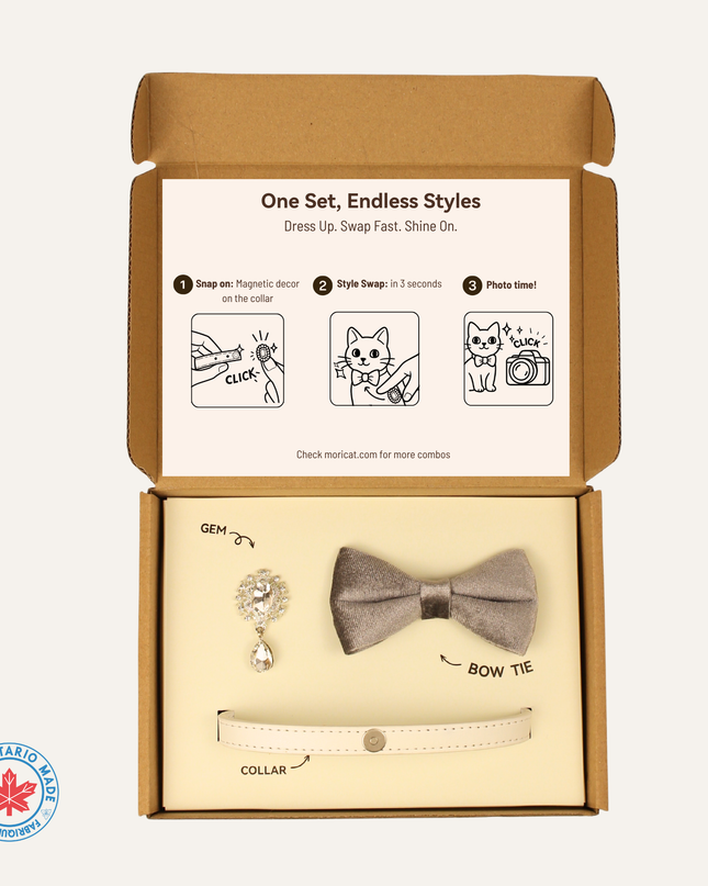 MoriCat Premium Gift Bundle Box with Teardrop Jewel in Crystal on White Collar with Silver Bowtie