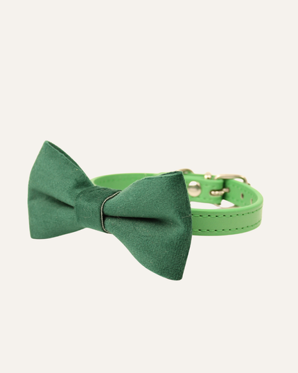 MoriCat Premium Gift Bundle Box with Teardrop Jewel in Emerald on Green Collar with Green Bowtie
