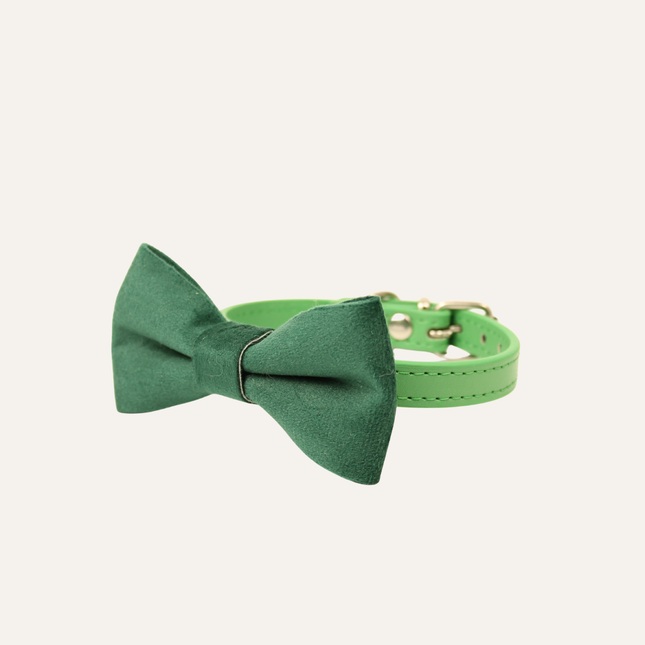 MoriCat Premium Gift Bundle Box with Vintage Bronze Gem in Emerald