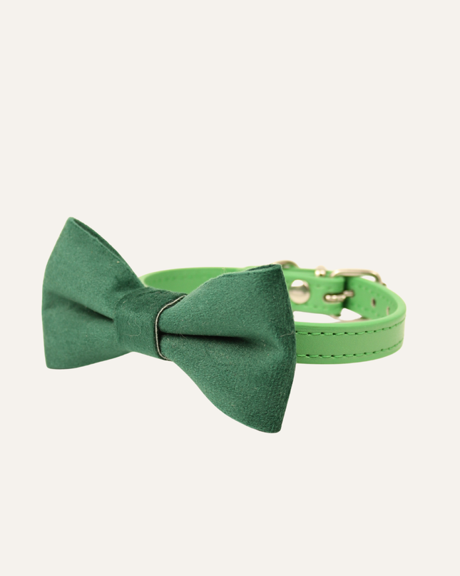 MoriCat Premium Gift Bundle Box with Teardrop Jewel in Emerald on Green Collar with Green Bowtie