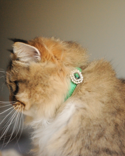 MoriCat Premium Gift Bundle Box with an Emerald Halo Jewel