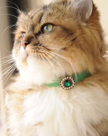 MoriCat Premium Gift Bundle Box with Vintage Bronze Gem in Emerald