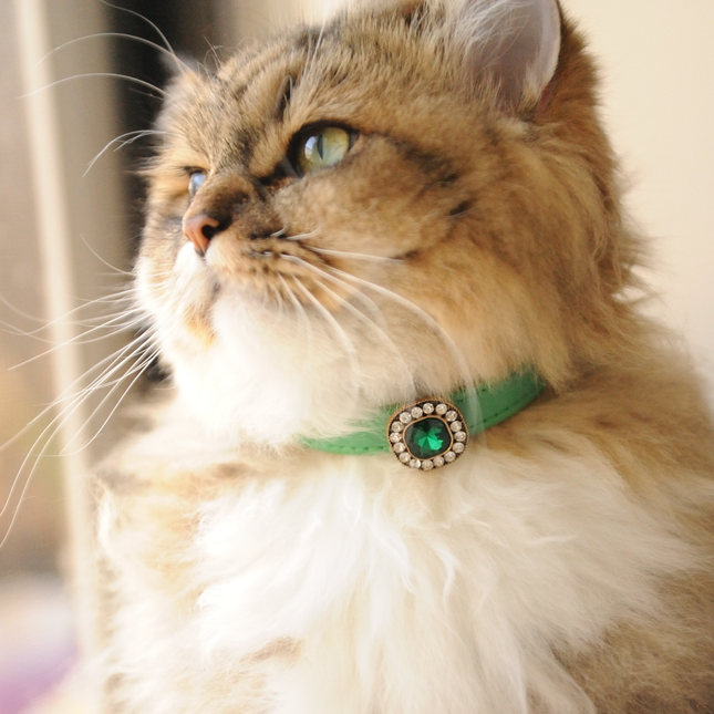 MoriCat Premium Gift Bundle Box with Vintage Bronze Gem in Emerald