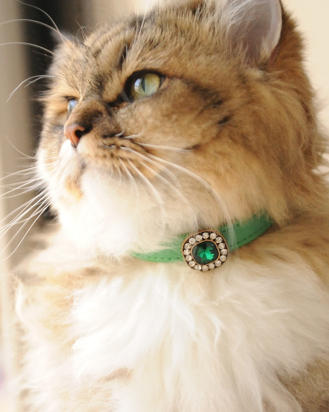 MoriCat Premium Gift Bundle Box with Vintage Bronze Gem in Emerald