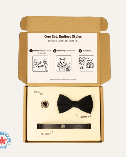 MoriCat Premium Gift Bundle Box with Vintage Bronze Gem in Jet