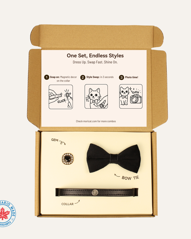 MoriCat Premium Gift Bundle Box with Vintage Bronze Gem in Jet