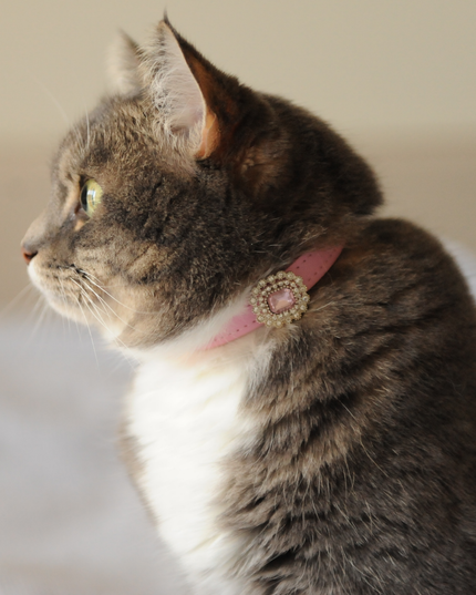 MoriCat Premium Gift Bundle Box with a Rose Halo Jewel