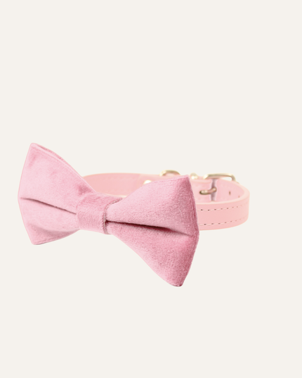 MoriCat Premium Gift Bundle Box with a Rose Halo Jewel