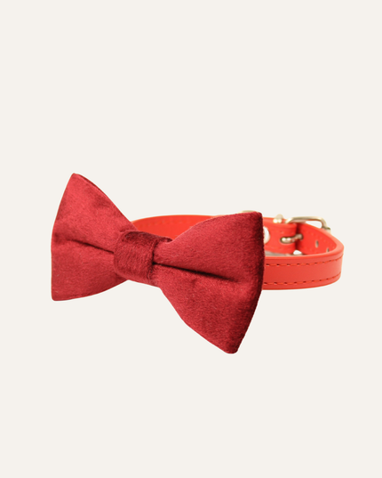 MoriCat Premium Gift Bundle Box with Teardrop Jewel in Ruby on Red Collar with Red Bowtie