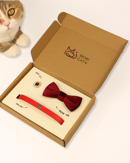 MoriCat Premium Gift Bundle Box with a Ruby Halo Jewel