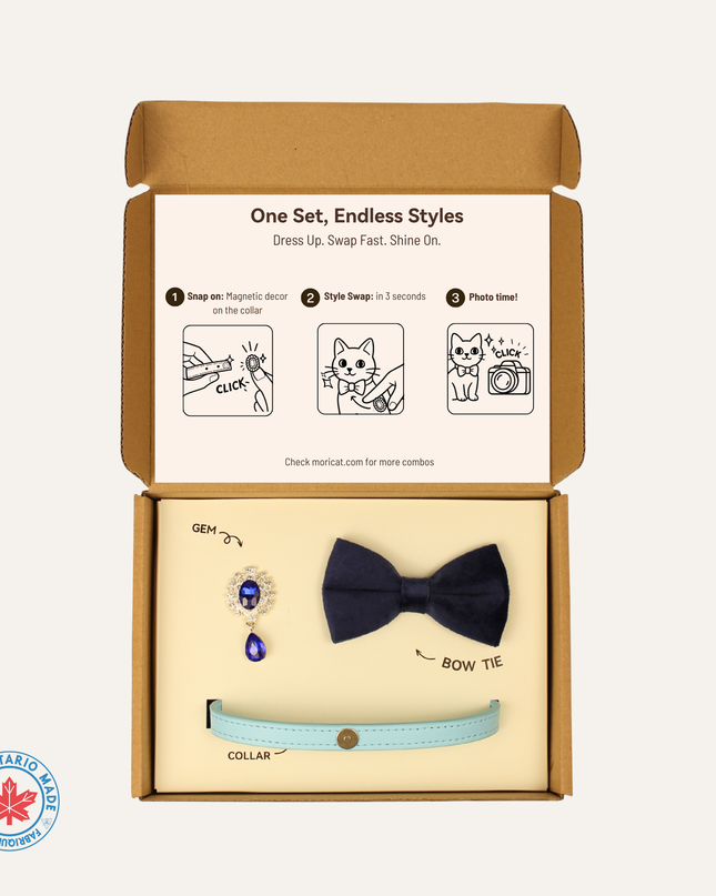 MoriCat Premium Gift Bundle Box with Teardrop Jewel in Sapphire on Blue Collar with Deep Blue Bowtie