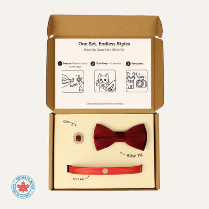 MoriCat Premium Gift Bundle Box with a Ruby Halo Jewel