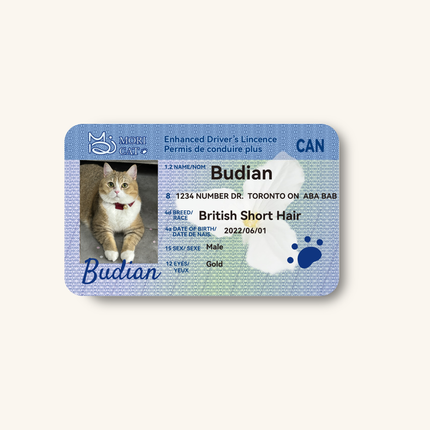 Custom Pet Driver-Style ID Card