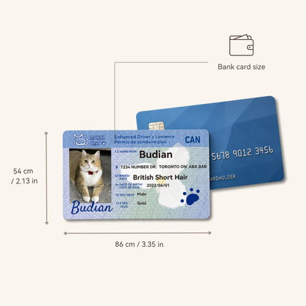 Custom Pet Driver-Style ID Card